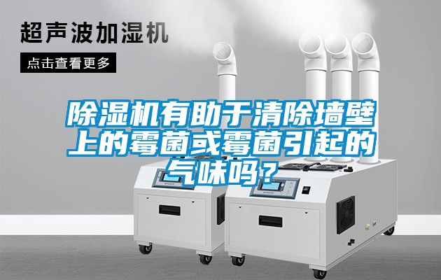除濕機有助于清除墻壁上的霉菌或霉菌引起的氣味嗎？