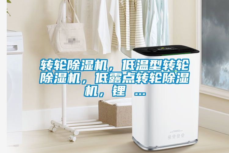 轉(zhuǎn)輪除濕機(jī)，低溫型轉(zhuǎn)輪除濕機(jī)，低露點轉(zhuǎn)輪除濕機(jī)，鋰 ...