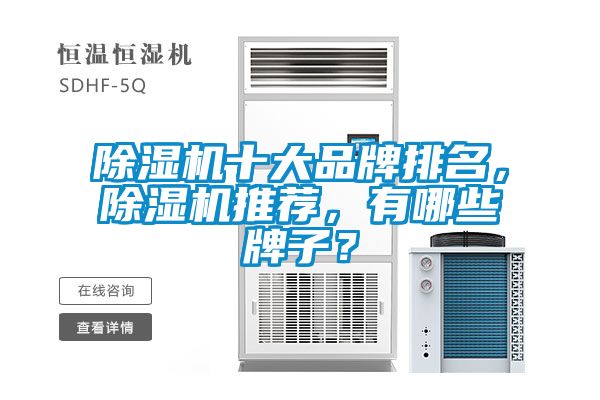 除濕機(jī)十大品牌排名，除濕機(jī)推薦，有哪些牌子？
