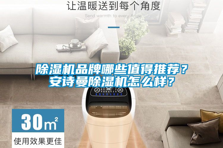 除濕機品牌哪些值得推薦？安詩曼除濕機怎么樣？