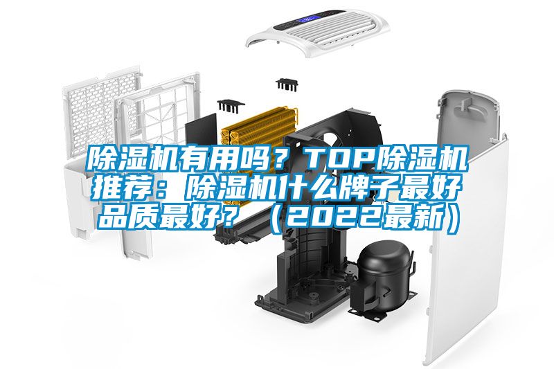 除濕機(jī)有用嗎？TOP除濕機(jī)推薦：除濕機(jī)什么牌子最好品質(zhì)最好？（2022最新）