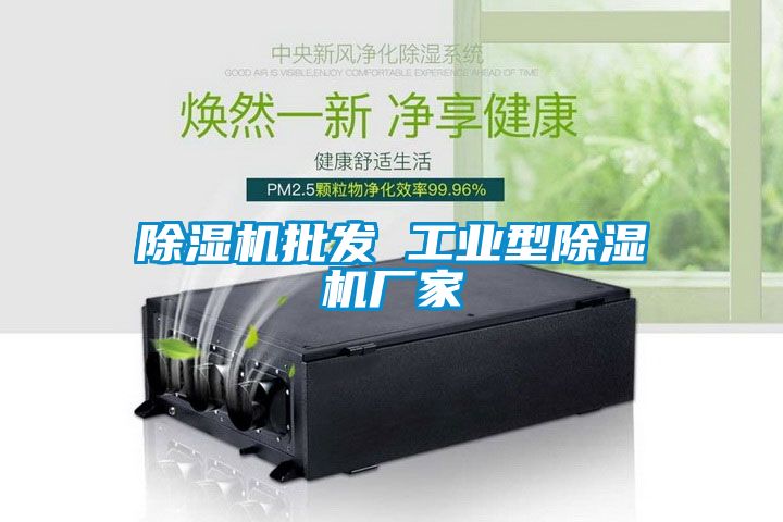除濕機(jī)批發(fā) 工業(yè)型除濕機(jī)廠(chǎng)家
