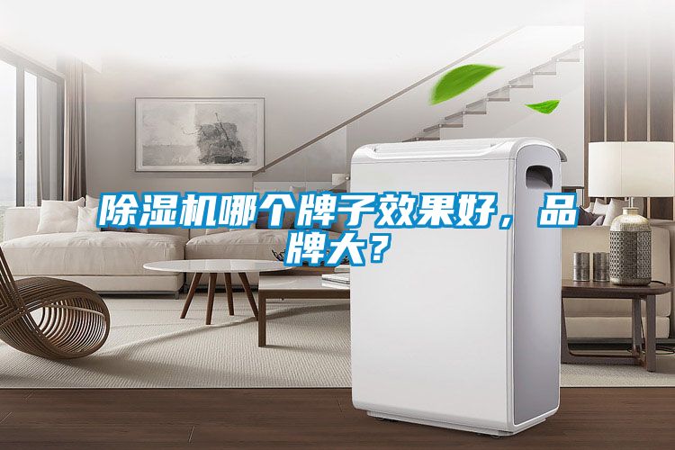 除濕機(jī)哪個(gè)牌子效果好，品牌大？