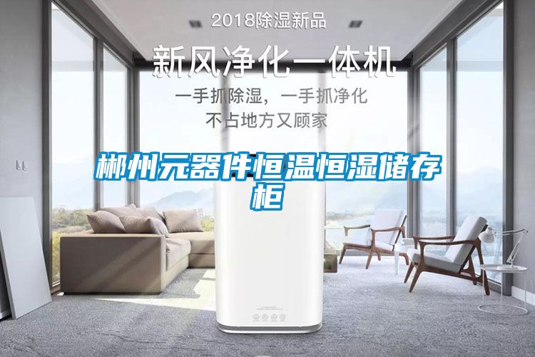 郴州元器件恒溫恒濕儲(chǔ)存柜