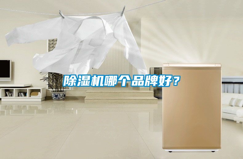 除濕機哪個品牌好？
