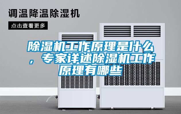 除濕機(jī)工作原理是什么，專家詳述除濕機(jī)工作原理有哪些