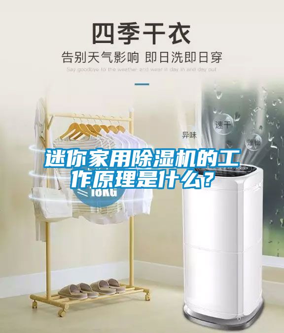 迷你家用除濕機(jī)的工作原理是什么？