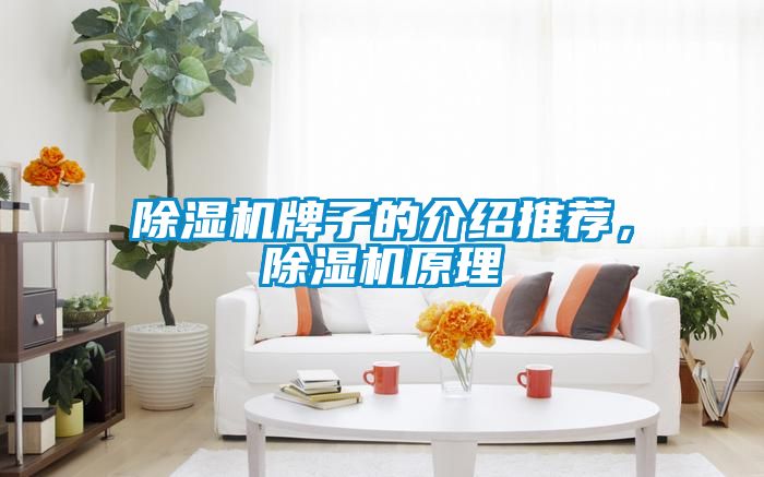 除濕機牌子的介紹推薦，除濕機原理
