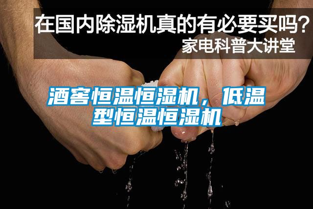 酒窖恒溫恒濕機，低溫型恒溫恒濕機