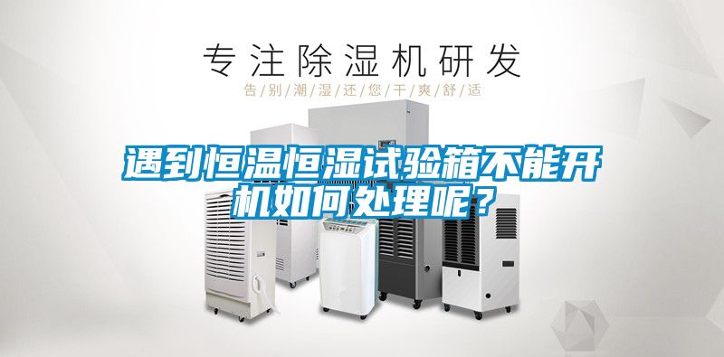 遇到恒溫恒濕試驗(yàn)箱不能開機(jī)如何處理呢？