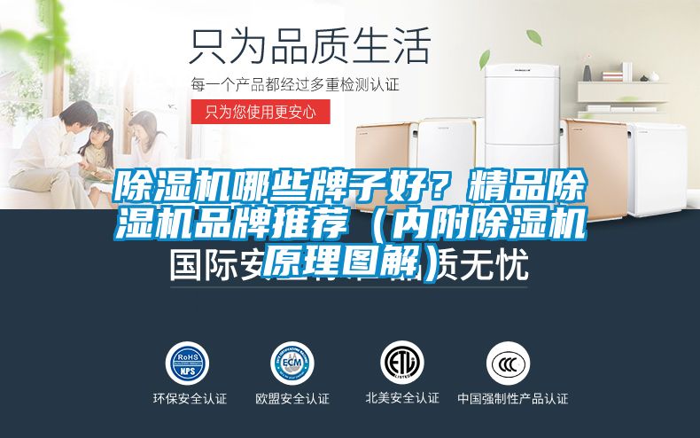 除濕機哪些牌子好？精品除濕機品牌推薦（內(nèi)附除濕機原理圖解）