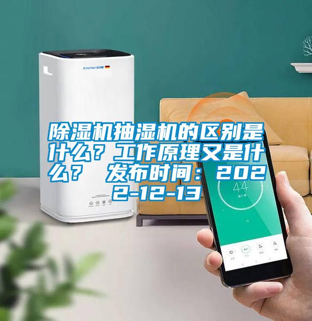 除濕機(jī)抽濕機(jī)的區(qū)別是什么？工作原理又是什么？ 發(fā)布時間：2022-12-13