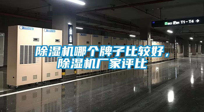 除濕機(jī)哪個(gè)牌子比較好，除濕機(jī)廠家評(píng)比