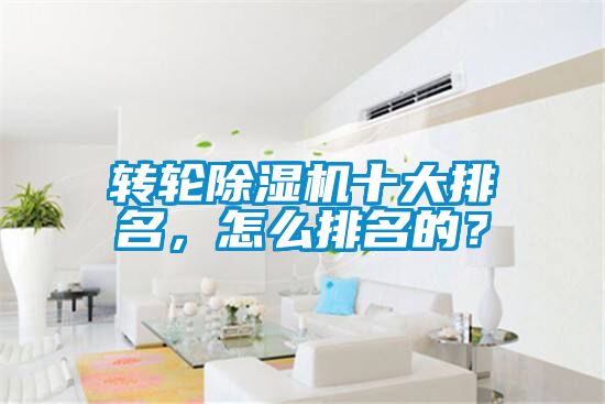 轉(zhuǎn)輪除濕機(jī)十大排名，怎么排名的？