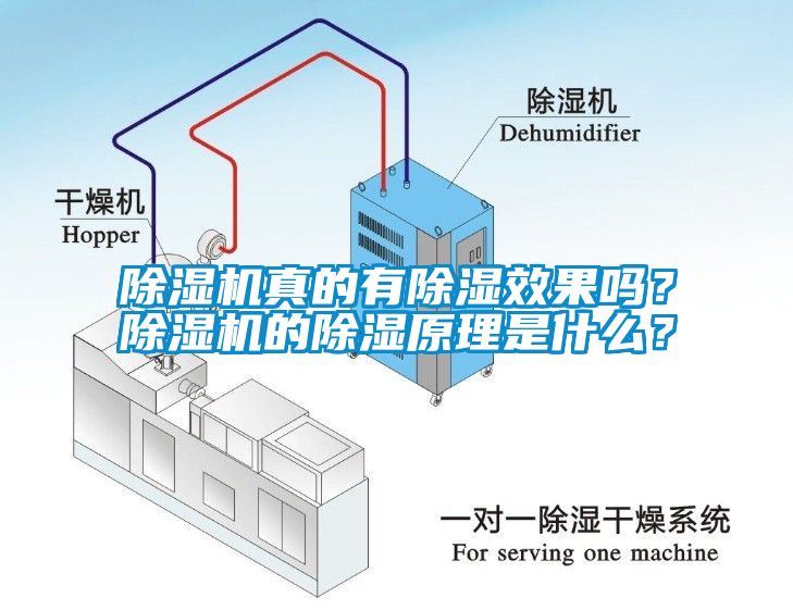 除濕機(jī)真的有除濕效果嗎？除濕機(jī)的除濕原理是什么？
