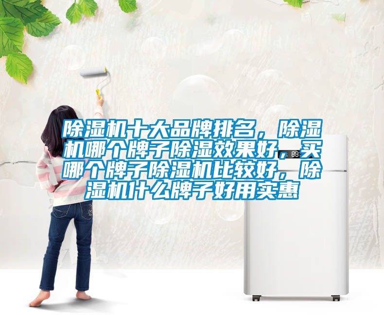 除濕機(jī)十大品牌排名，除濕機(jī)哪個(gè)牌子除濕效果好，買哪個(gè)牌子除濕機(jī)比較好，除濕機(jī)什么牌子好用實(shí)惠