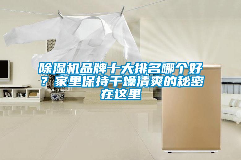 除濕機(jī)品牌十大排名哪個(gè)好？家里保持干燥清爽的秘密在這里