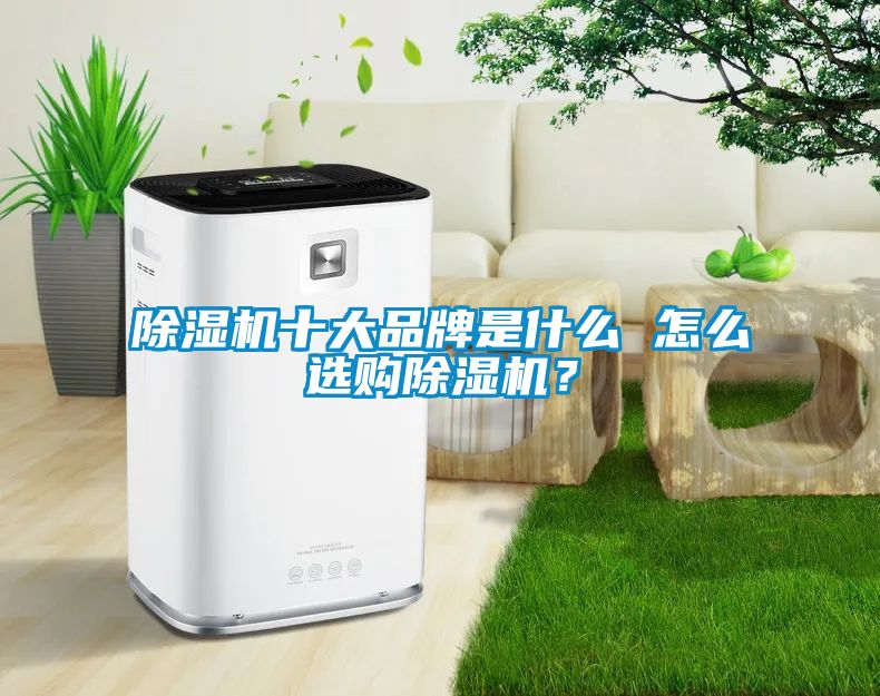 除濕機(jī)十大品牌是什么 怎么選購(gòu)除濕機(jī)？
