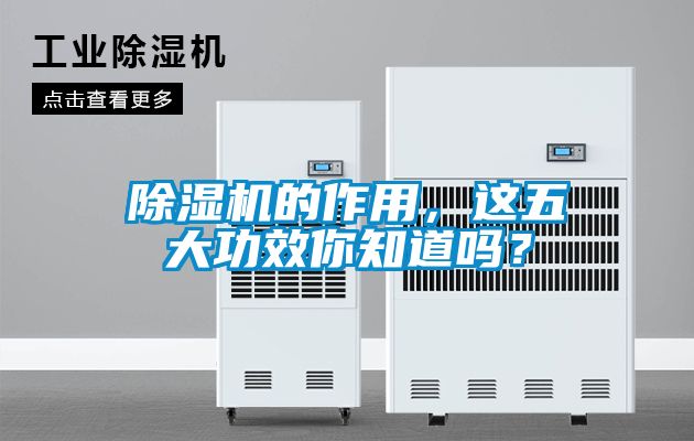 除濕機(jī)的作用，這五大功效你知道嗎？