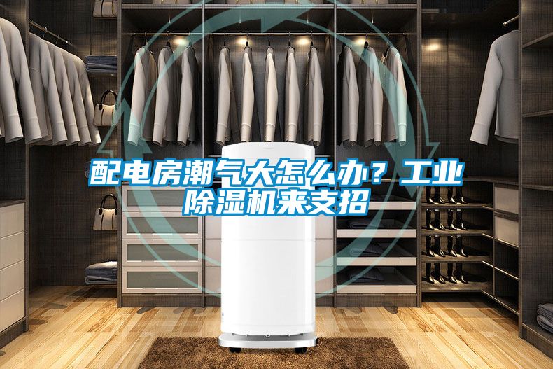 配電房潮氣大怎么辦？工業(yè)除濕機來支招
