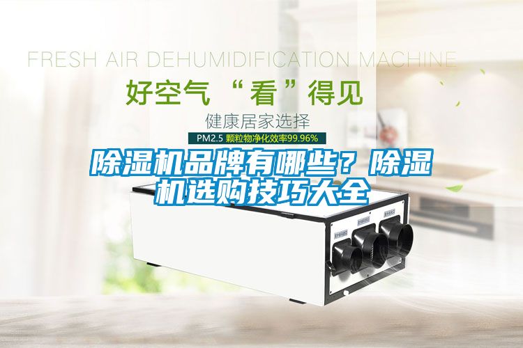 除濕機(jī)品牌有哪些？除濕機(jī)選購(gòu)技巧大全