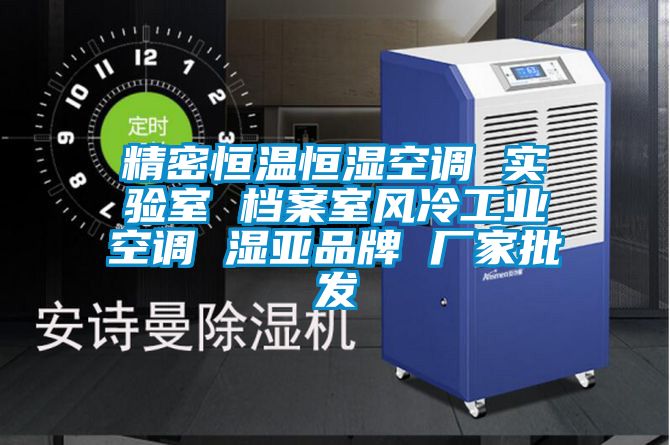 精密恒溫恒濕空調 實驗室 檔案室風冷工業(yè)空調 濕亞品牌 廠家批發(fā)