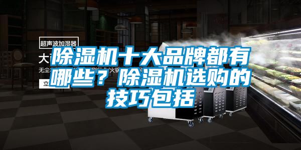 除濕機(jī)十大品牌都有哪些？除濕機(jī)選購(gòu)的技巧包括