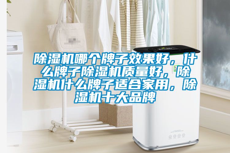 除濕機(jī)哪個(gè)牌子效果好，什么牌子除濕機(jī)質(zhì)量好，除濕機(jī)什么牌子適合家用，除濕機(jī)十大品牌