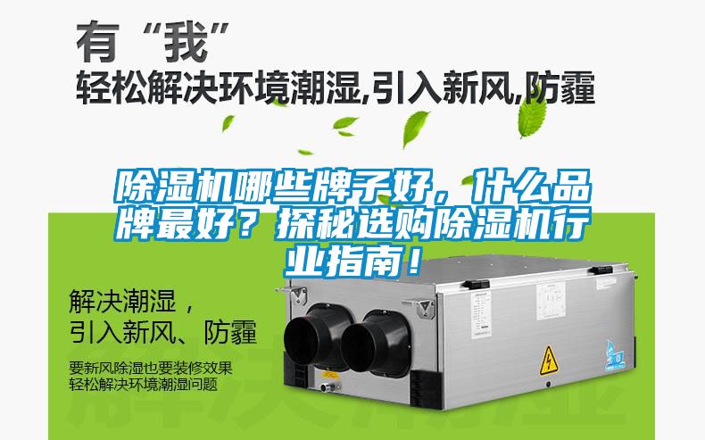 除濕機(jī)哪些牌子好，什么品牌最好？探秘選購(gòu)除濕機(jī)行業(yè)指南！