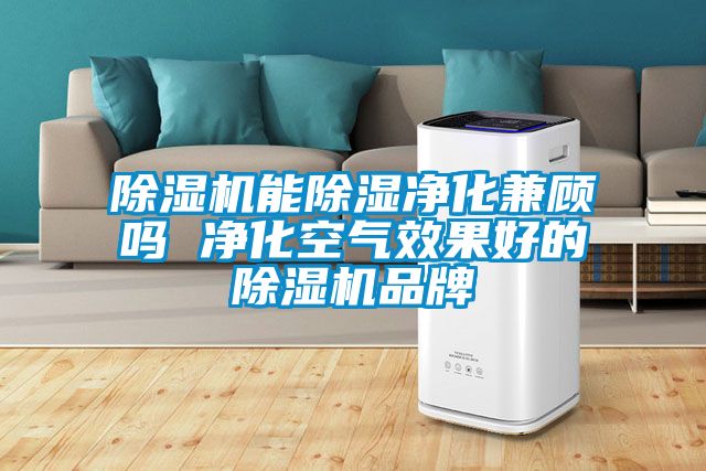 除濕機能除濕凈化兼顧嗎 凈化空氣效果好的除濕機品牌