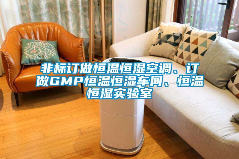 非標訂做恒溫恒濕空調、訂做GMP恒溫恒濕車間、恒溫恒濕實驗室