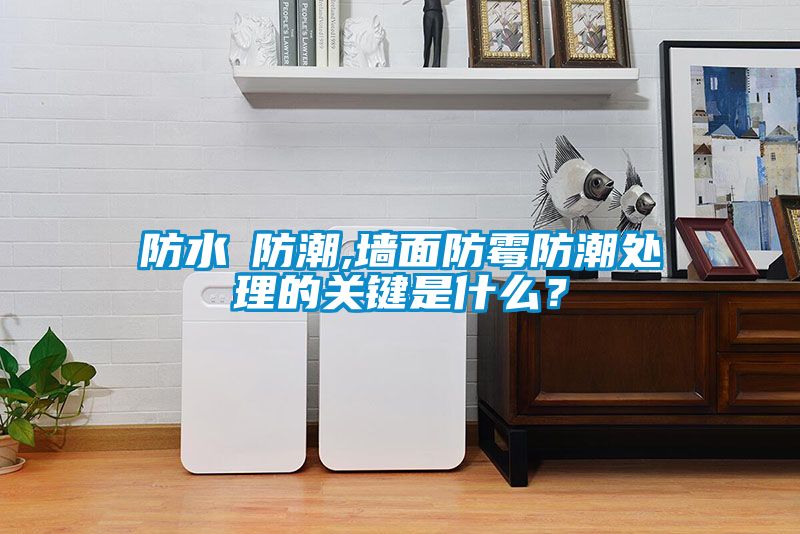 防水≠防潮,墻面防霉防潮處理的關(guān)鍵是什么？