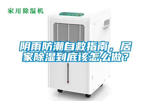 陰雨防潮自救指南，居家除濕到底該怎么做？