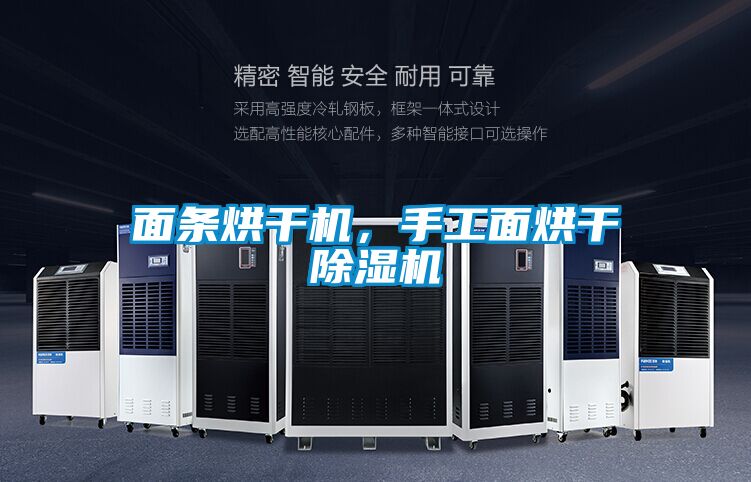 面條烘干機，手工面烘干除濕機