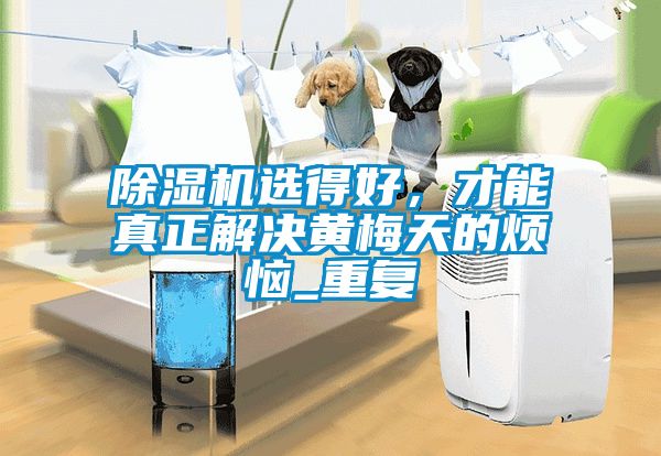 除濕機選得好，才能真正解決黃梅天的煩惱_重復