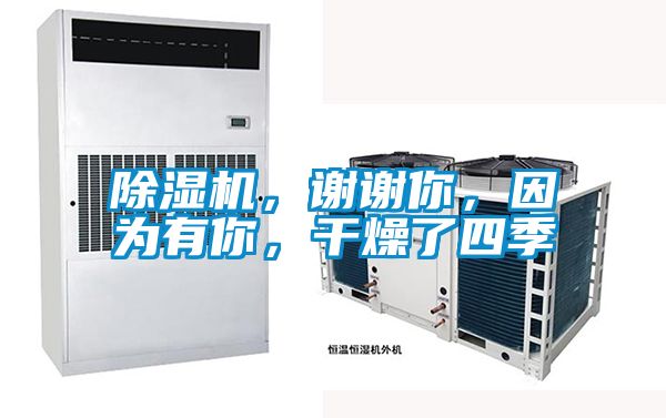 除濕機(jī)，謝謝你，因?yàn)橛心悖稍锪怂募?/></p>
						    <p style=