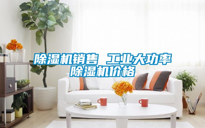 除濕機(jī)銷(xiāo)售 工業(yè)大功率除濕機(jī)價(jià)格