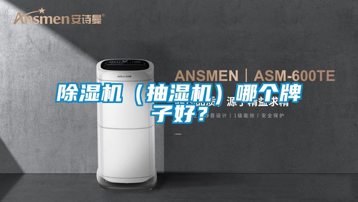除濕機（抽濕機）哪個牌子好？