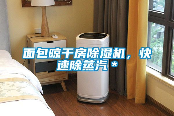 面包晾干房除濕機，快速除蒸汽＊