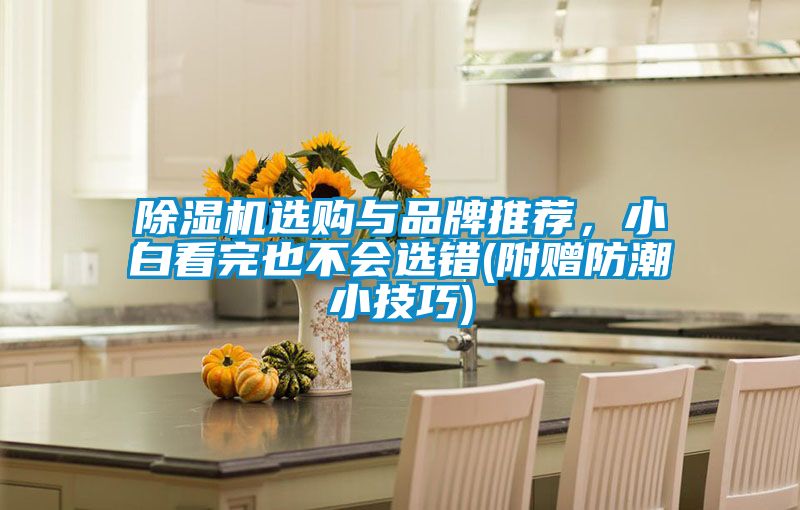 除濕機(jī)選購(gòu)與品牌推薦，小白看完也不會(huì)選錯(cuò)(附贈(zèng)防潮小技巧)