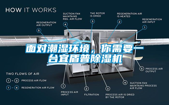 面對潮濕環(huán)境，你需要一臺(tái)宜盾普除濕機(jī)