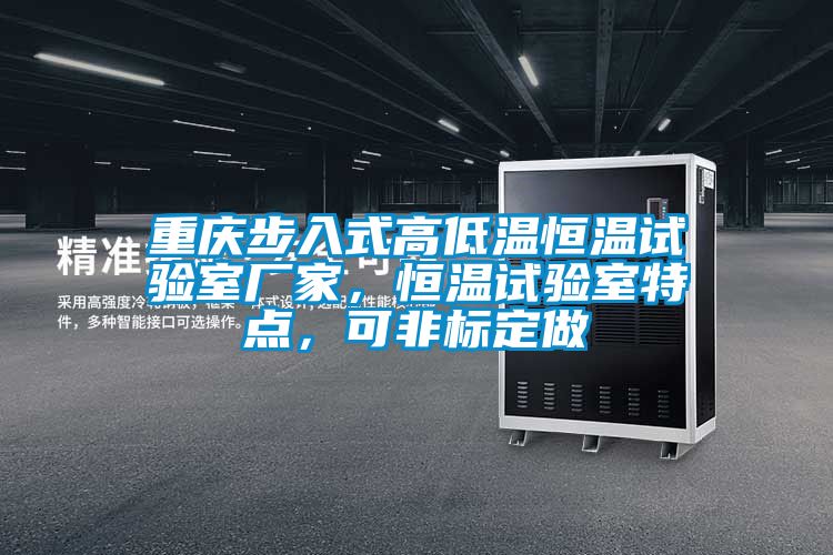 重慶步入式高低溫恒溫試驗室廠家，恒溫試驗室特點，可非標(biāo)定做