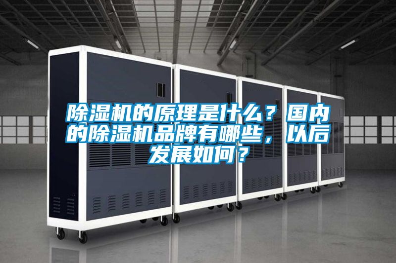 除濕機(jī)的原理是什么？國內(nèi)的除濕機(jī)品牌有哪些，以后發(fā)展如何？
