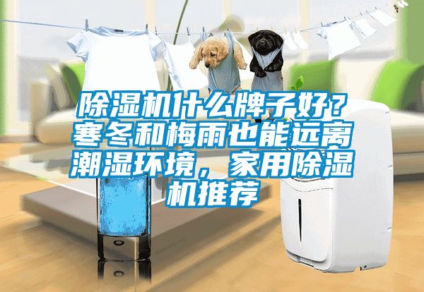 除濕機什么牌子好？寒冬和梅雨也能遠離潮濕環(huán)境，家用除濕機推薦