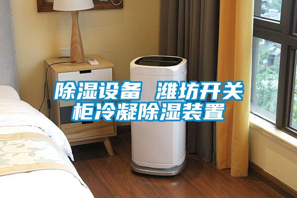 除濕設(shè)備 濰坊開(kāi)關(guān)柜冷凝除濕裝置