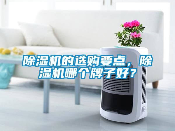 除濕機的選購要點，除濕機哪個牌子好？