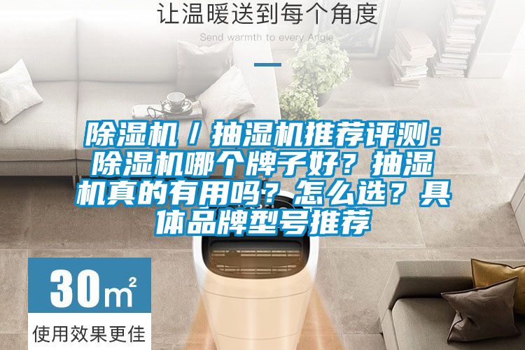 除濕機(jī)／抽濕機(jī)推薦評(píng)測(cè)：除濕機(jī)哪個(gè)牌子好？抽濕機(jī)真的有用嗎？怎么選？具體品牌型號(hào)推薦