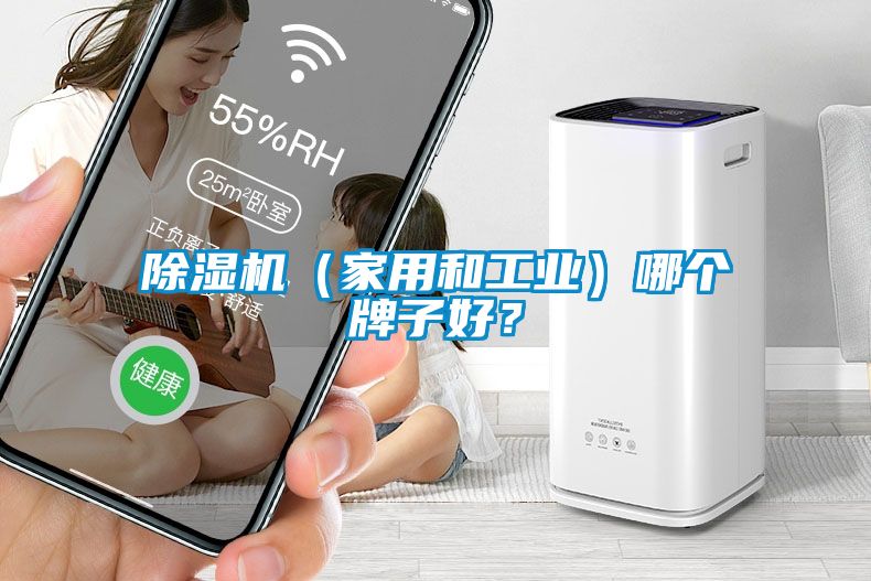 除濕機(jī)（家用和工業(yè)）哪個(gè)牌子好？