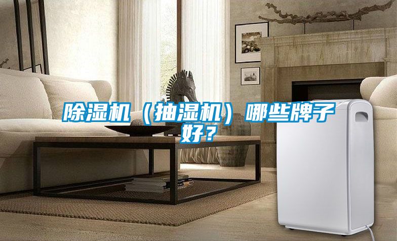 除濕機(jī)（抽濕機(jī)）哪些牌子好？