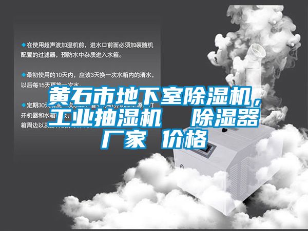 黃石市地下室除濕機，工業(yè)抽濕機  除濕器廠家 價格